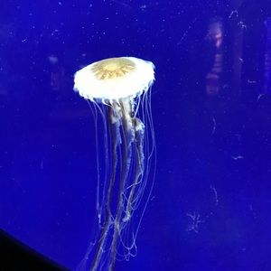 Meet your Posher, Sabrina